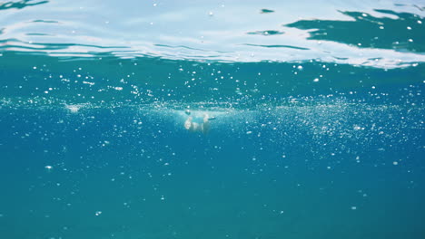 man swimming breaststroke in the ocean