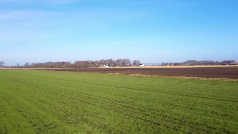 following flock of flying swans over fields