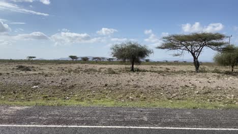car driving by isiolo kenya with a view of acacia trees