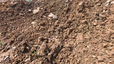 un camino de tierra con rocas y suelo esparcidos