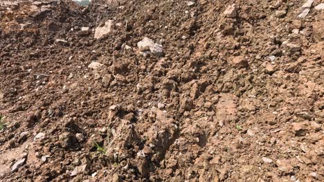 a dirt road with scattered rocks and soil