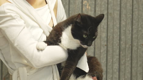 cat pet black and white held by girl wearing white jumper, funny animal closeup