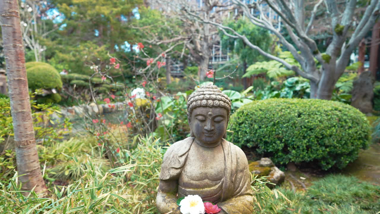 un video estabilizado en cámara lenta de 4k que representa una hermosa estatua de buda rodeada de flores, plantas exuberantes y árboles en un jardín de té japonés en san mateo, california.