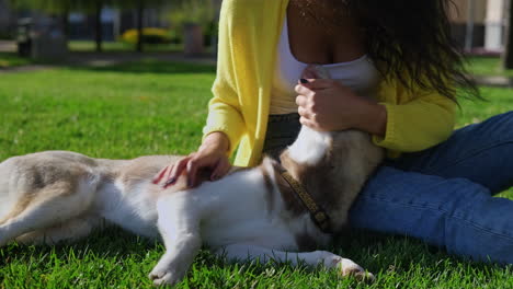 woman and husky dog in a park