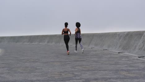 Two-mixed-race-women-running-on-docks