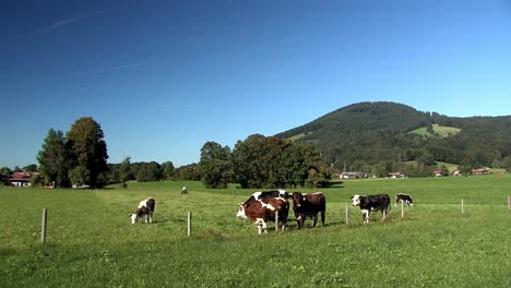 Grassland-and-beautiful-mountain-panorama-at-the-edge-of-the-Bavarian-Alps,-Germany