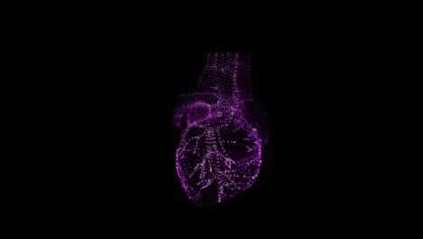 corazón rgb holograma wireframe. buena animación 3d en un fondo negro con un bucle sin costuras para proyectos de futurismo