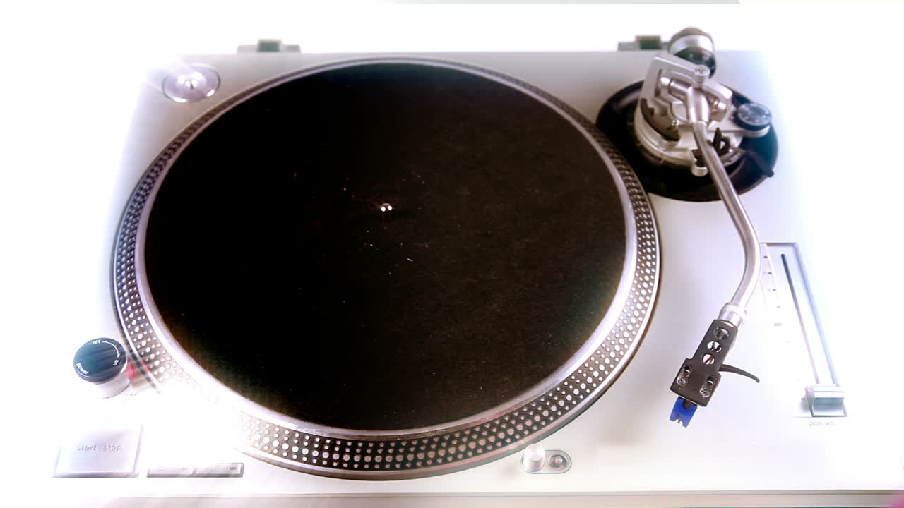 핑크 데크 핸드1