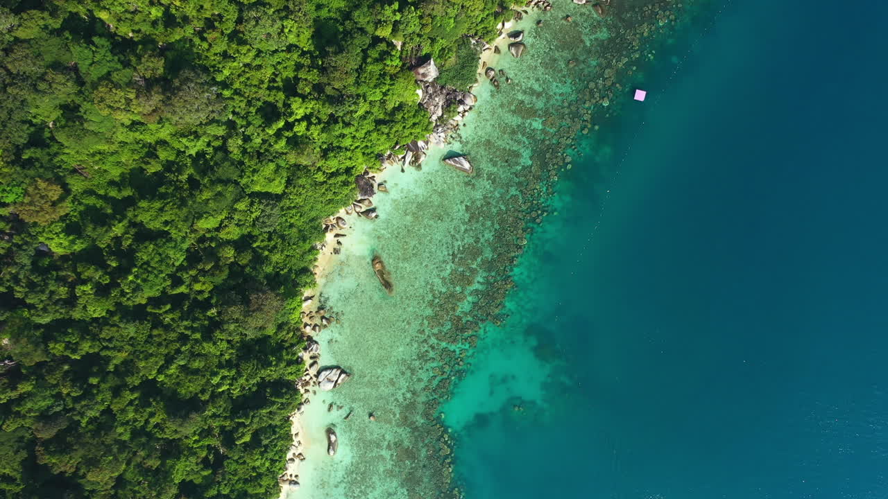 가장 큰 형태의 아름다움은 자연에서 발견됩니다.