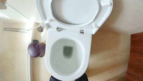 punto de vista del hombre que va y usa el baño