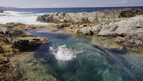 Fuerteventura-canary-island-natural-water-ocean-pool,-young-mixed-race-multiracial-woman-dive-and-swim-in-scenic-natural-environment