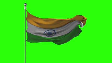 india national flag waving on green screen. chroma key animation. indian politics illustration