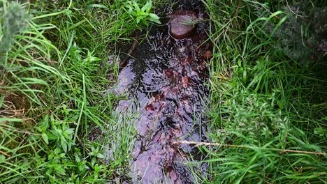 agua que fluye por debajo, escocia, reino unido