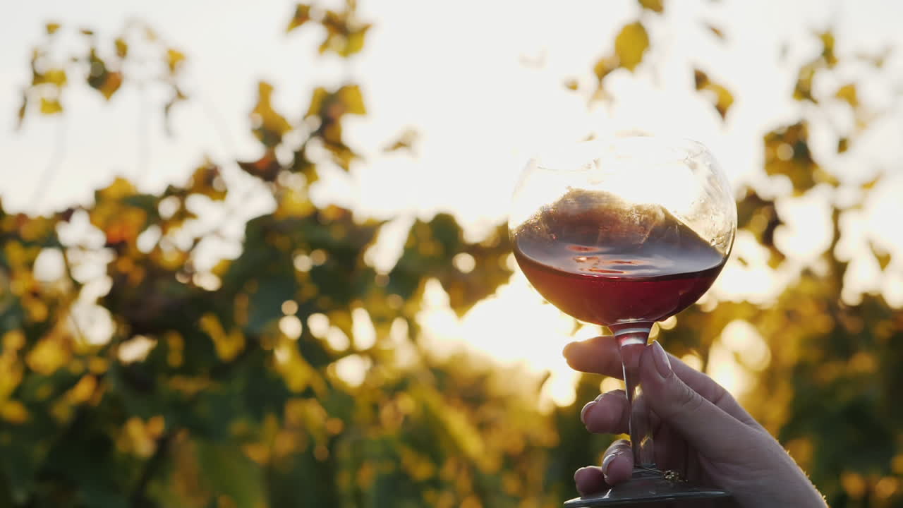 Reggendo vino rosso al sole