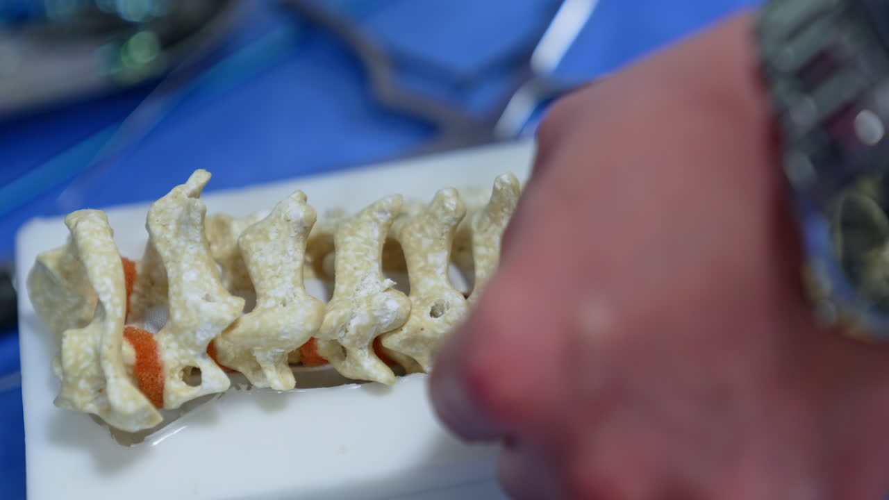 A little hole is made in the spine dummy with the help of metal tool. Male hands apply the instruments practicing neurosurgery. Close up.