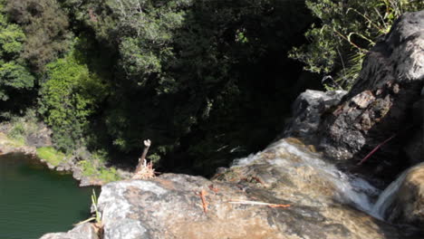 Water-Flows-over-Rocks-at-Whangarei-Falls,-26m-to-River-Hatea,-surrounded-by-Green-Trees-Below,-New-Zealand