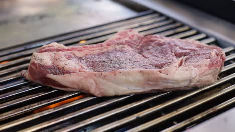 person putting steak on the grill