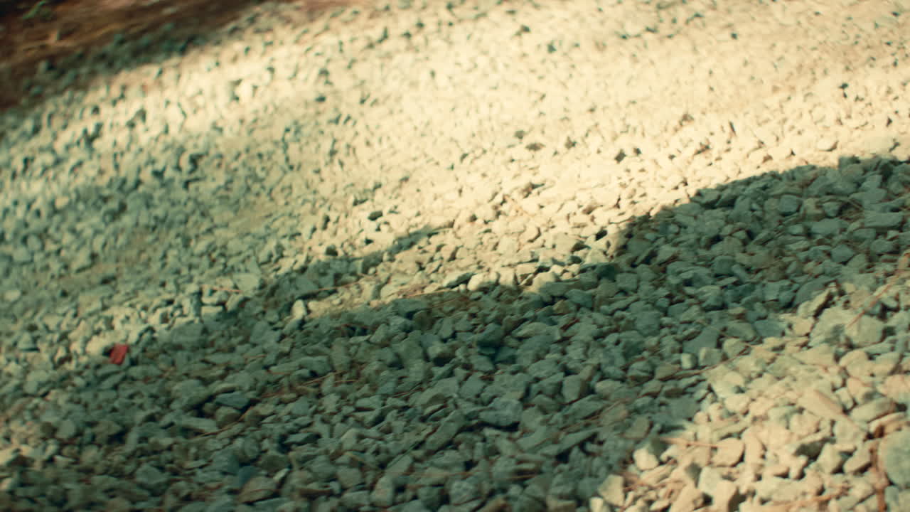 Gravel Path in a Forest