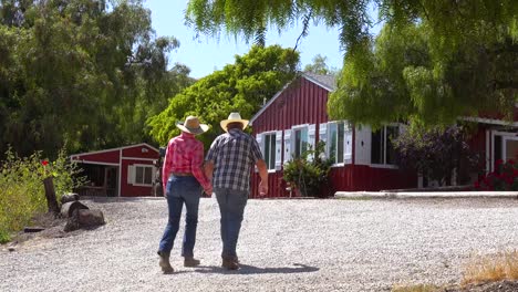 una feliz pareja de agricultores jubilados enamorados camina de la mano disfrutando de la jubilación en su granja de campo 1