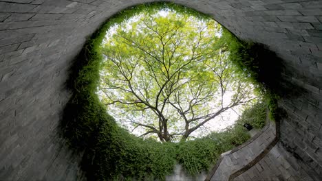 建築的な温室空間と自然へのアクセスを見上げる