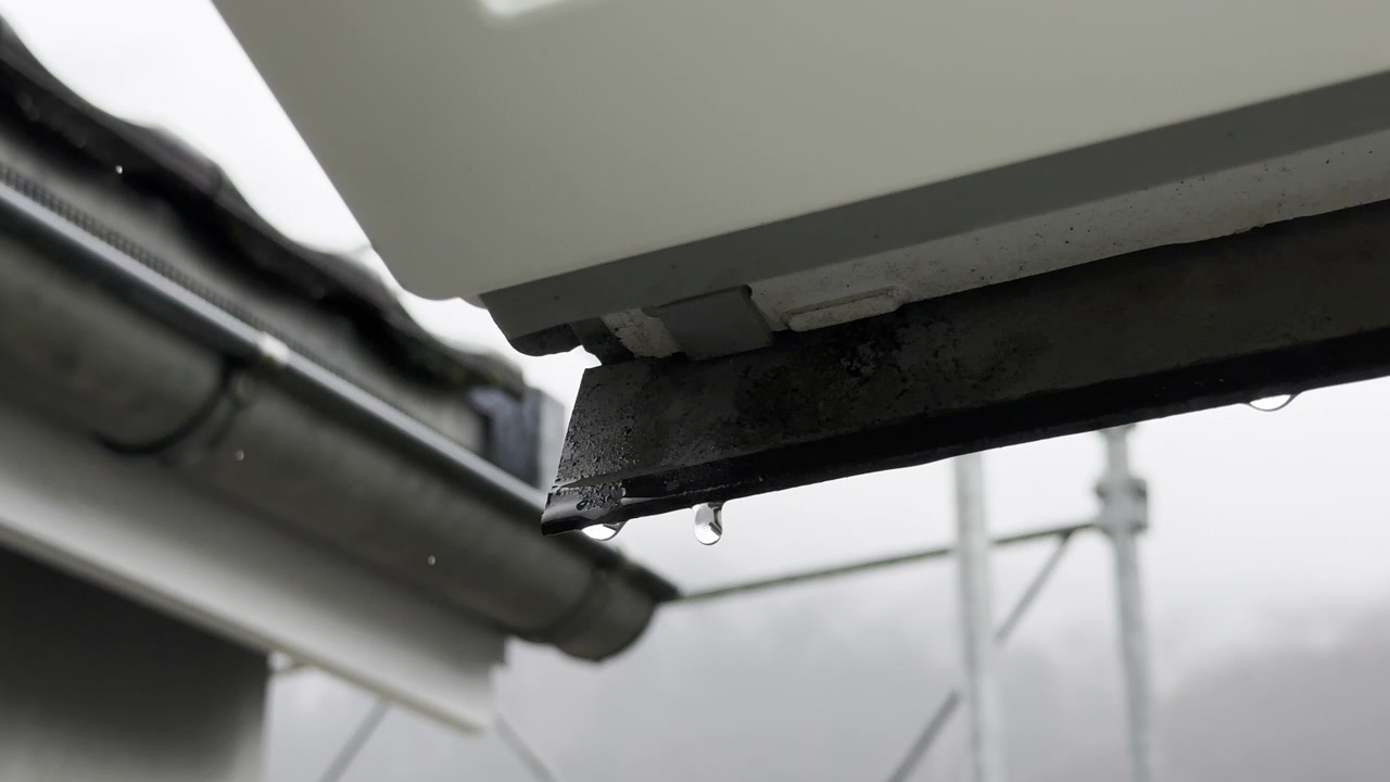 Super close-up of canopy with water drops falling down. Daylight