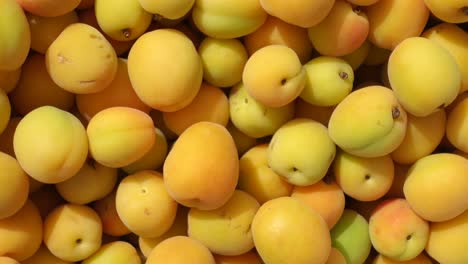 fresh apricots