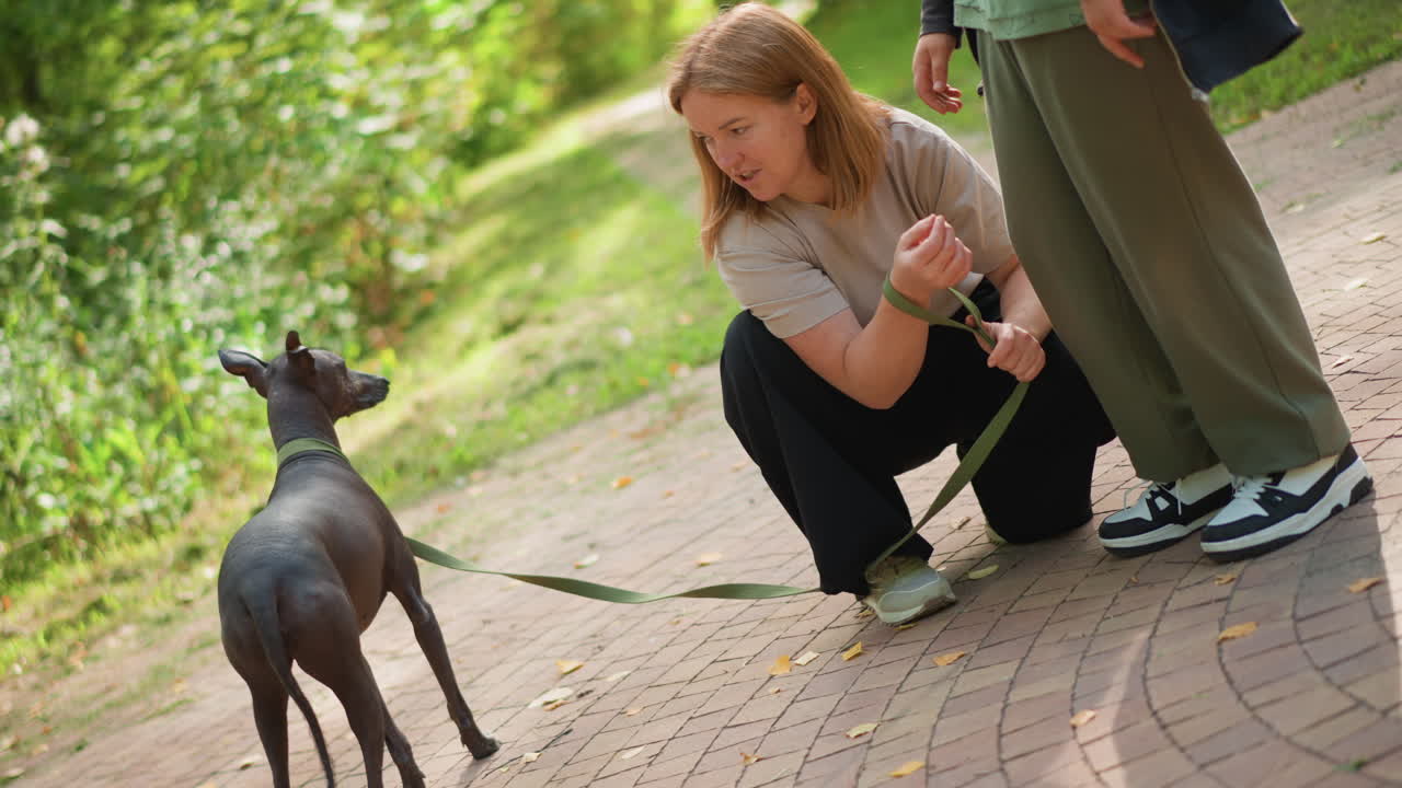 Loving Scene In Park, Warm Family Moment With Pet And Loved Ones, Casual Family Interaction In Leafy Outdoor Space With Pet, Relaxed Family Bonding In Green Park With Pet And Affectionate Gestures