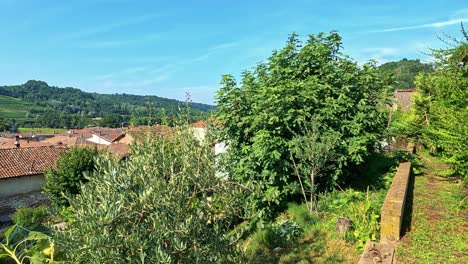 panoramic view of vineyards and rooftops