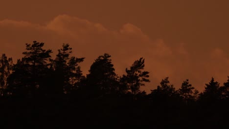 Lapso-De-Tiempo-De-Nubes-Moviéndose-Sobre-árboles-Dentro-De-Un-Bosque-Sueco-Durante-La-Puesta-De-Sol