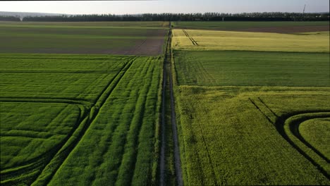 Ackerland-In-Der-Nähe-Der-Stadt-Zwittau-Im-Frühling