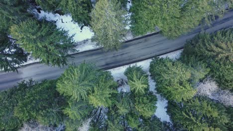 drone top down view of a car passing through a forest on a small mountain road, ground covered in snow