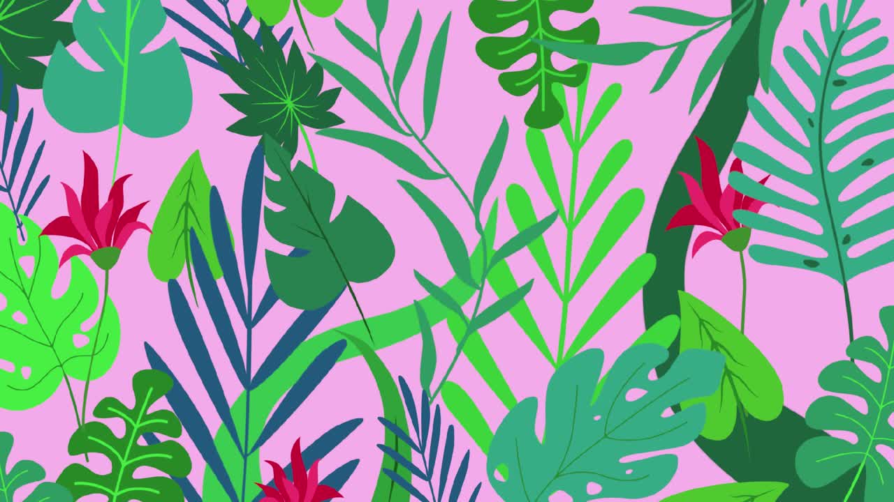 selva naturaleza fondo borroso verde flores bosque selva tropical desenfoque bokeh 4k fondos youtube