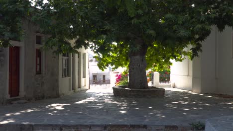 Vista-Estática-De-Un-Solo-árbol-Retroiluminado-En-La-Típica-Plaza-Griega-Durante-El-Mediodía