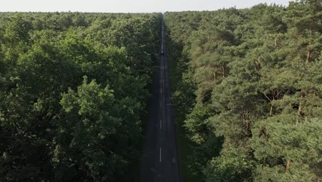 an aerial view of a solitary car traveling on a long, straight road flanked by dense green forest on both sides. the peaceful and natural environment creates a sense of isolation and tranquility.