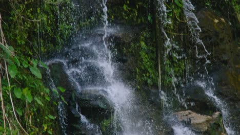 cascading water on mossy rocks and green foliage