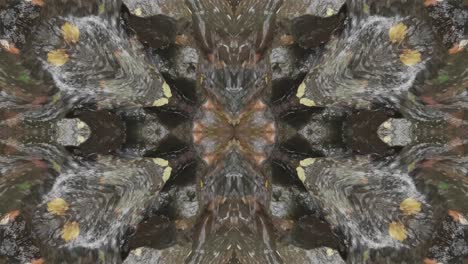 Kaleidoscope-from-Nature-Shots,-Wissahickon-Creek