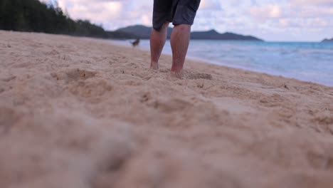 man-playing-fetch-with-german-shepherd-dog-by-throwing-coconut-husk-in-hawaii