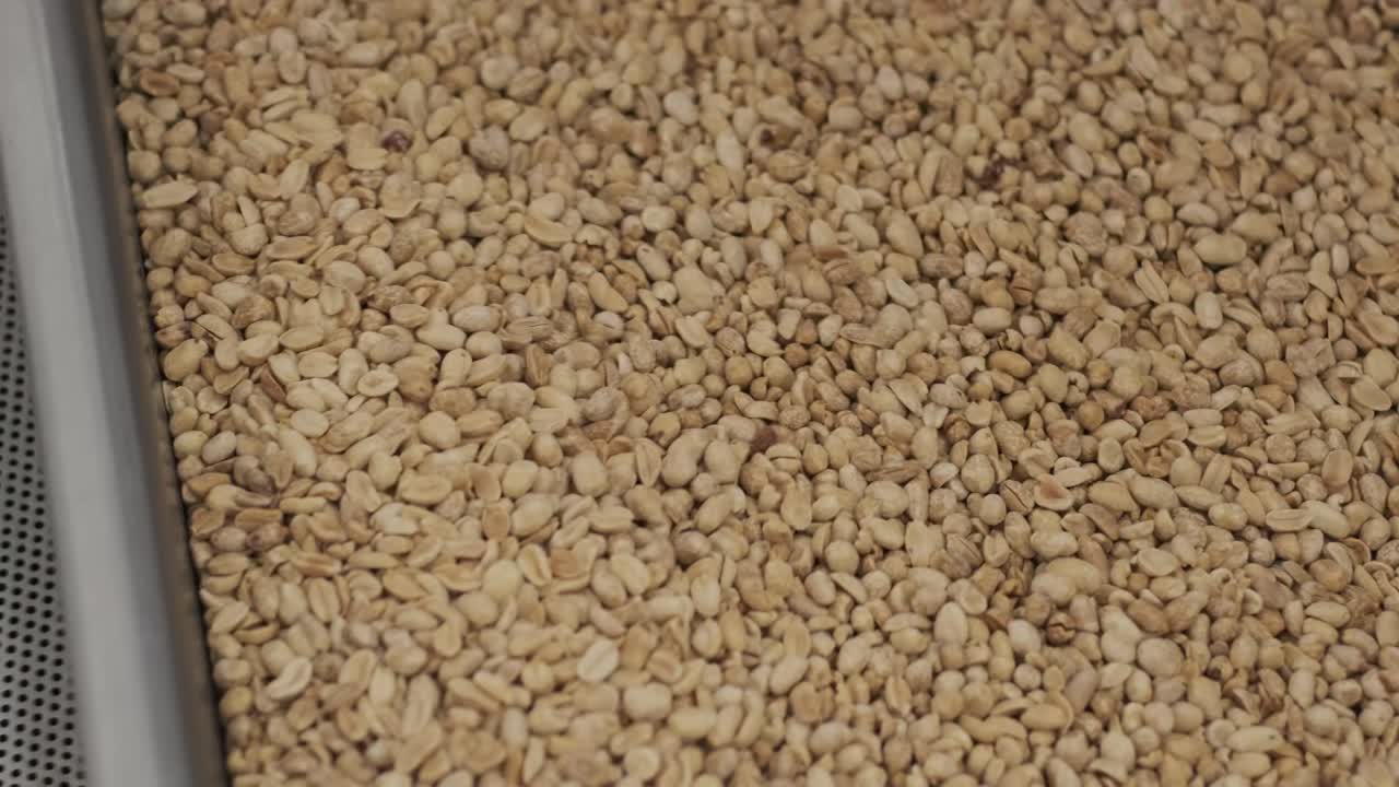 많은 씨, 태양광 씨, 베이킹 기계, 움직이는 긴 태양광씨, 기계에서 나온 음식 생산.