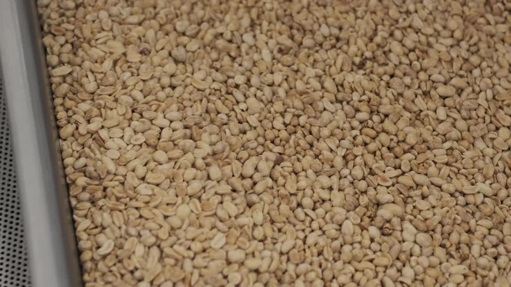 Many seeds. Sunflower seeds baking machine. Moving fried sunflower seeds come out of the machine. Food production