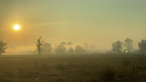 Toma-De-Niebla-Matutina-Sobre-Campo-Abierto-Al-Amanecer