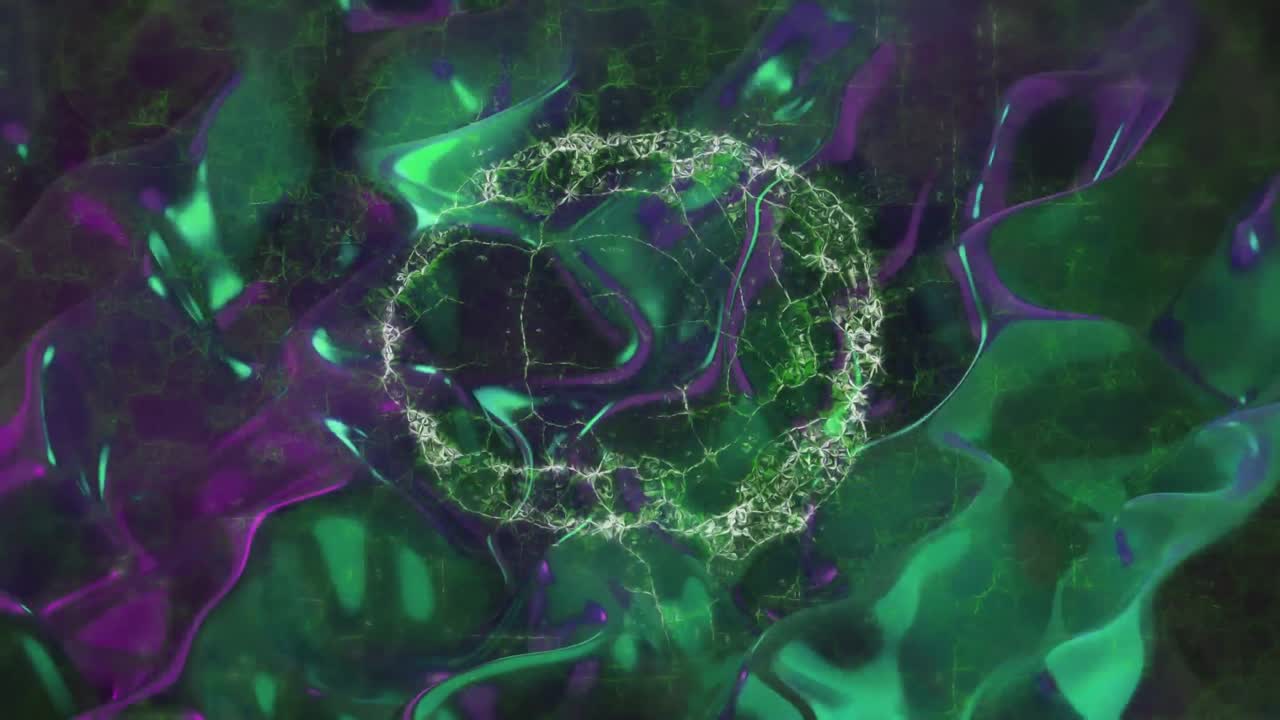 animación del cerebro humano sobre un fondo líquido