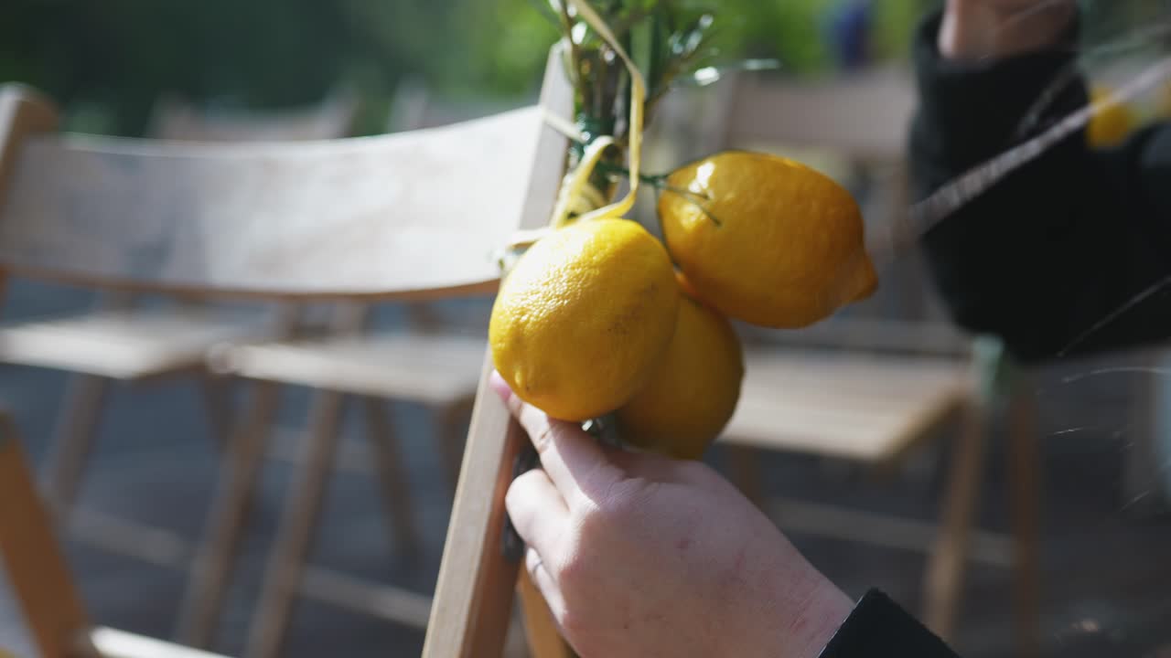 파스카 또는 수코트 장식을 레몬으로 준비하는 것