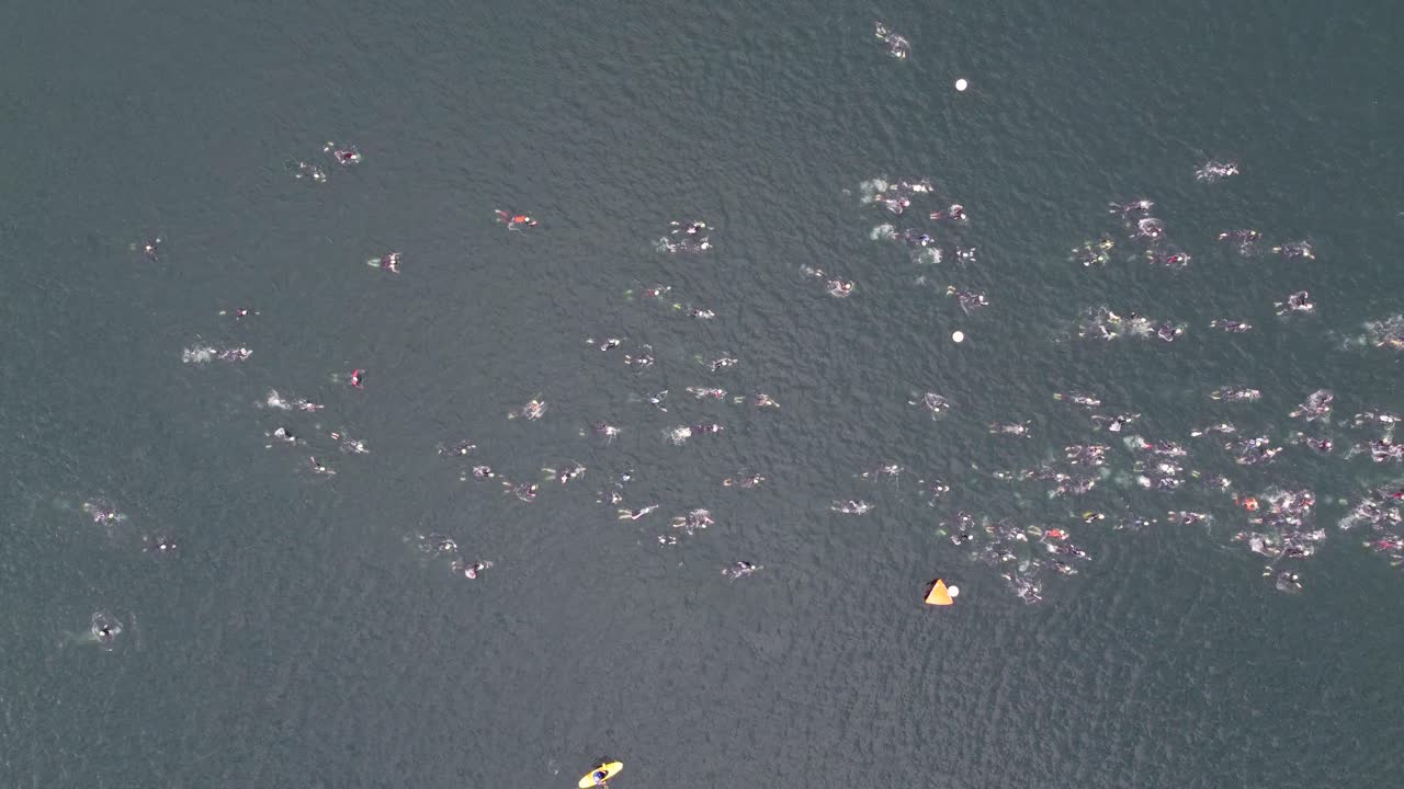 도르니 호수 (dorney lake) 에서 트라이애슬론 선수들이 수영을 하고 서로 경쟁하는 아리엘   (ariel top shot of triathlon at dorney lake)