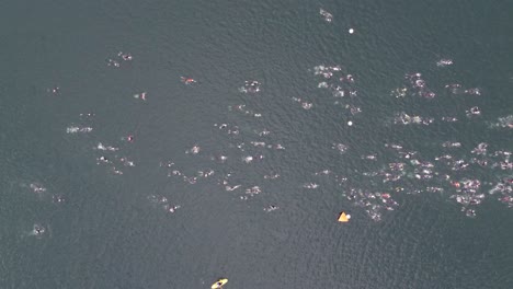 ariel top shot of triathlon at dorney lake, triathletes swimming and competing with each other