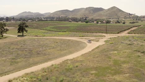 aerial view of vehicle on dusty road and vineyard plantation in californian valley