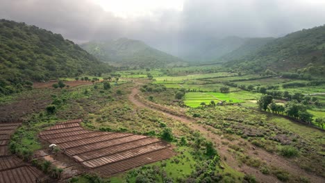 Fly-Over-Plantations-With-Growing-Rice-Field-Fields-Cultivated-For-Agricultural-Purposes-Deep-Into-Mountains-In-Sumbawa-island,-Indonesia