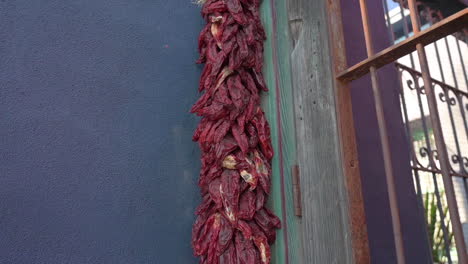 dried red chili peppers hanging by a doorway - tilt down