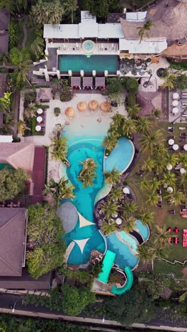 this vertical video reveals a private tropical garden with a still blue pool at its center, framed by vibrant plants, soft shadows, and the peaceful rhythm of nature all around