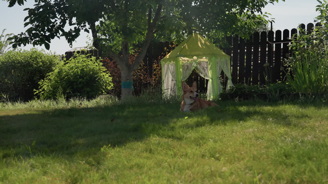 Tranquil Summer Garden With Shaded Play Zone, Peaceful Backyard With Lush Grass And Charming Playhouse Setting, Calm And Cozy Backyard Space Featuring Shaded Tent And Swaying Curtain Playhouse
