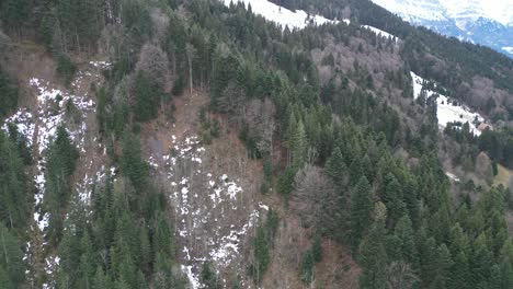 Fronalpstock-Glarus-Switzerland-aerial-view-of-forest-rotating-smooth